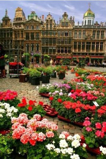 mercado de flores en la Grand Place