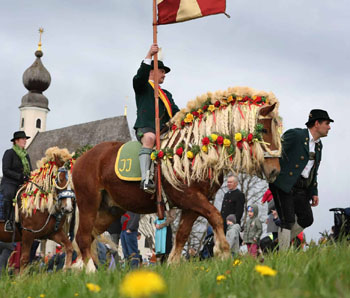 traunstein farmer